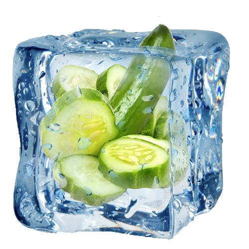 chiller-truck-rental-dubai-refrigerated-truck-rental-dubai-frozen-fruit-transport-cucumbers