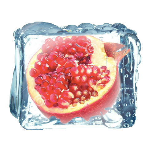 chiller-truck-rental-dubai-refrigerated-truck-rental-dubai-frozen-fruit-transport-pomegranate